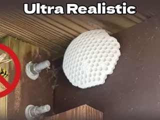 Decoy Wasp Nest