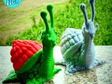 CUTE SNAIL PRINT IN PLACE-0