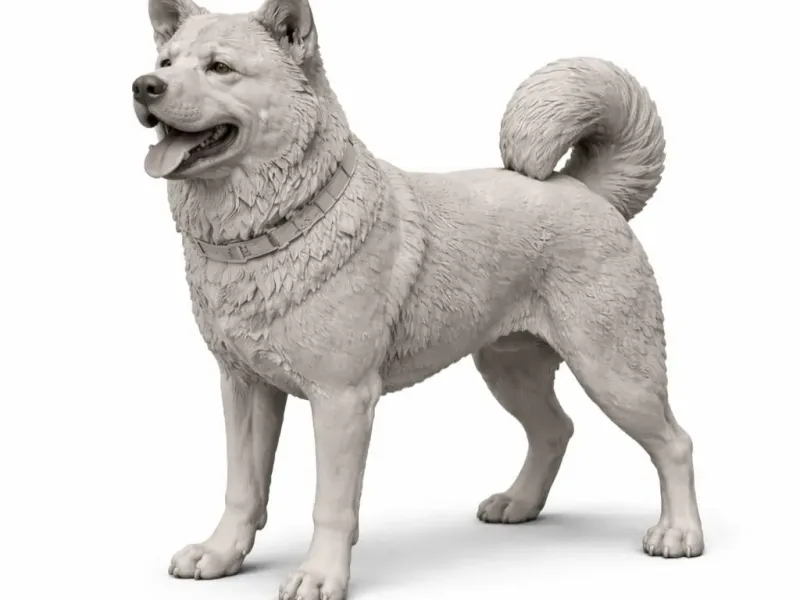 Akita Inu