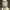 Busto Donald Trump