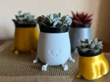 Chunky bum sitting pot-0