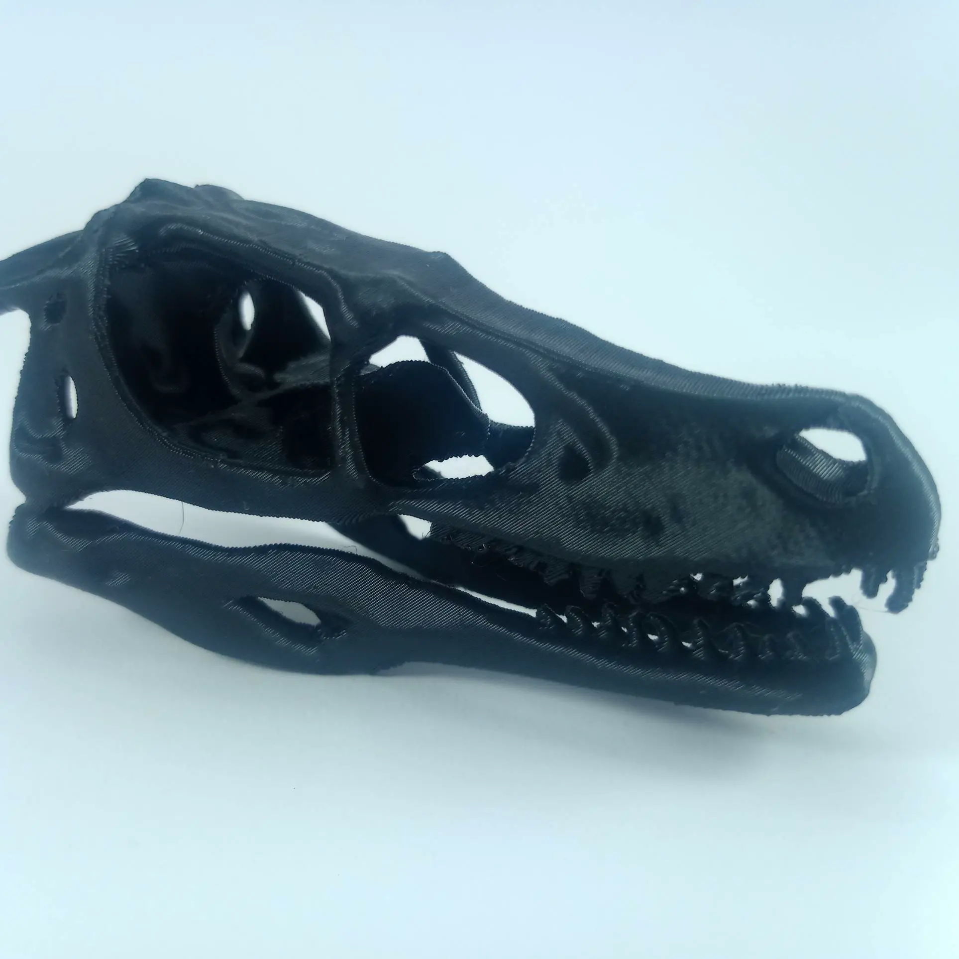 Velociraptor Skull 3d Print