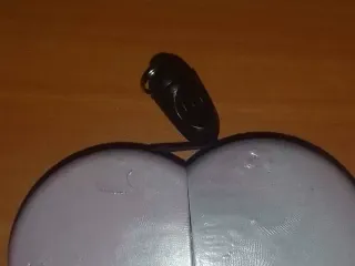 heart container for car immobilizer 