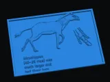 EVOLUTION OF HORSE MESSOHIPPUS 3D ARCHIVE-3