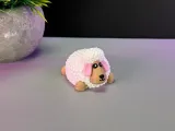 Cute Sheep-4
