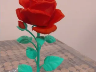 Rose /róża