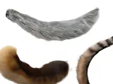 Animal Tails-0