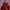 M. BISON - STREET FIGHTER