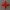 GIOCATTOLO SHURIKEN NINJA