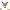 Funko Pop Fan Art Eevee Pokemon