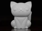 Whisker Charm-1