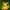pokemon leafeon chubby