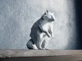 Low Poly Racoon-1