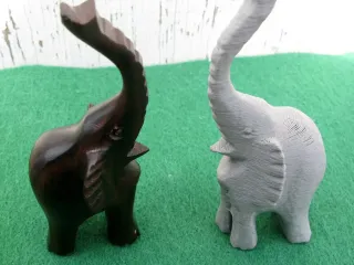Lucky Elephant