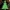 🎄 Sapin de Noël – Modèle 3D à imprimer 🎁