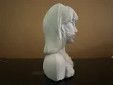 Celebrity Bust-3