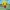 Bart Simpson - funko pop