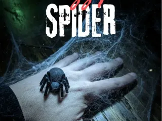 Fuzzy Spider