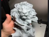Ağaçtaki Aslan (Simba)-3