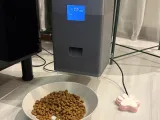 Paw button-5