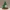 Albero di Natale multiparte