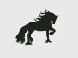 cheval-1