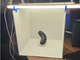 Photo Box-0
