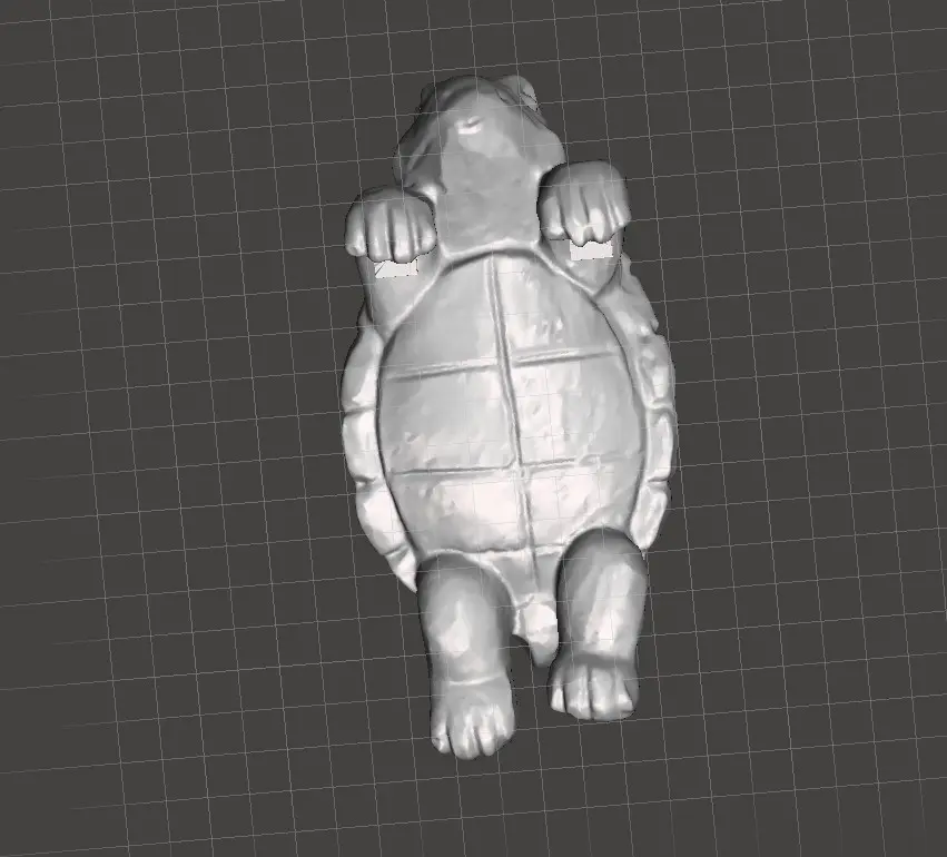 flower pot hangers turtle