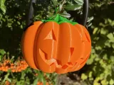 Dual Face Pumpkin-2