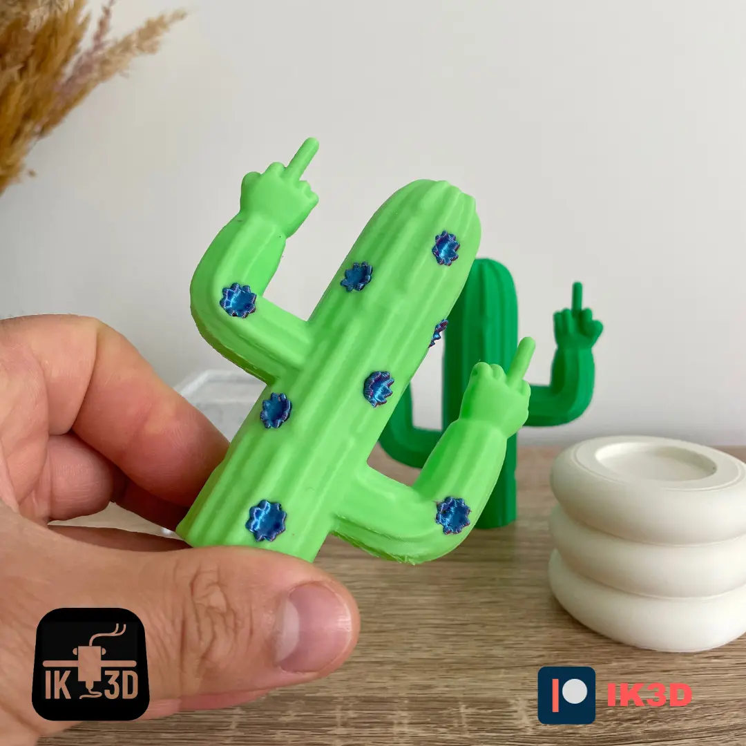 CACTUS FLIPPING THE BIRD