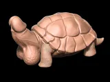 Dick Penis turtle-1