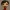Ada Wong Funko