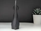 Cane Elegante-4