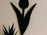 Tulip Wallart-0