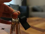 Whistle-1