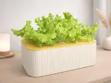 Hydroponic Planter (Dual Size), F&F Grid-Style Hydroponic Planter (Dual Size)-1
