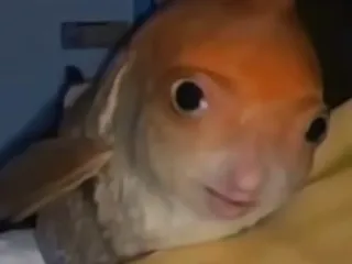 Thing