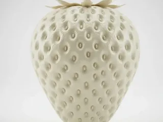 morango