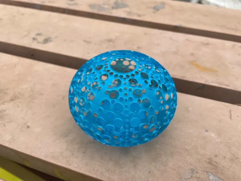 Sea Urchin