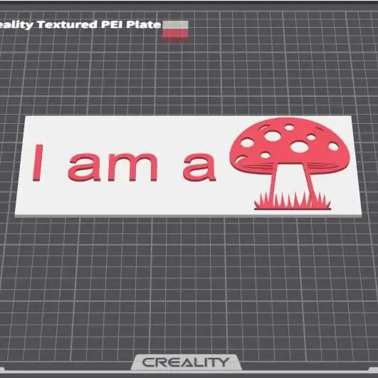 I am a fun-gi