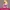 Princess Aurora