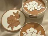 hibiscus Coaster Set-0