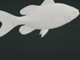 Fish-0