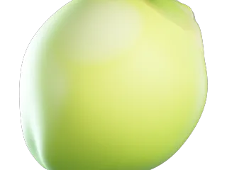 Coconut