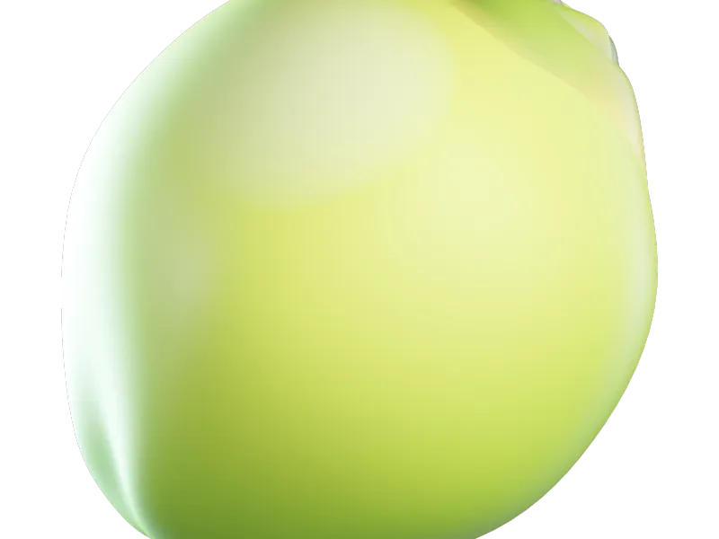 Kokosnuss