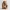 Chimp - Roots of Life – The Wooden Creatures
