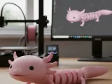 Flexi Axolote-0