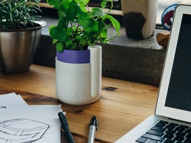 Selfwatering flower pot