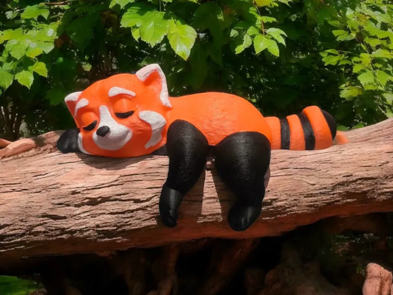 Shelf Sleeping Red Panda