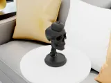 Skull with Apple-2